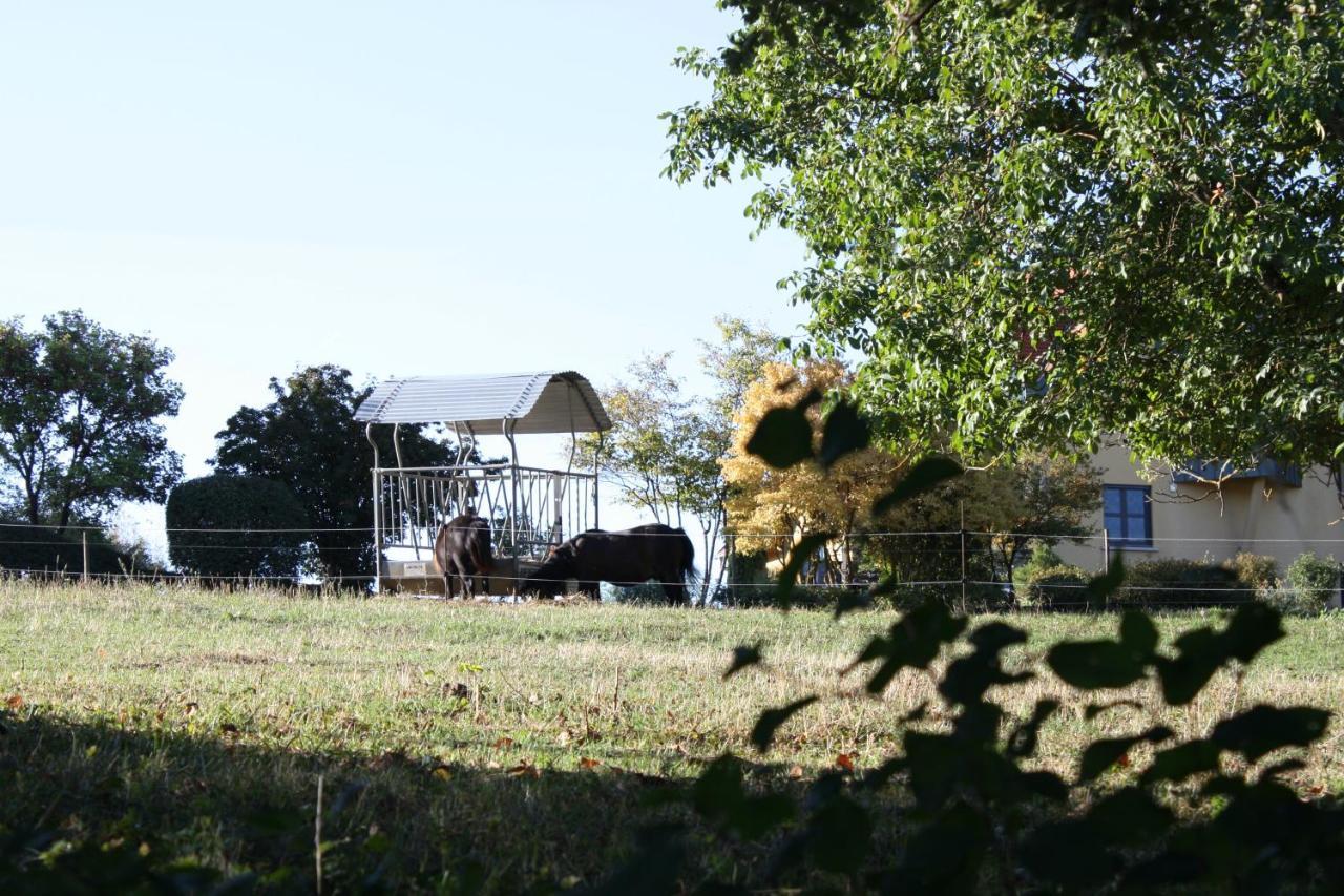 Cocon D'Argile Bed & Breakfast Bischoffsheim Eksteriør bilde