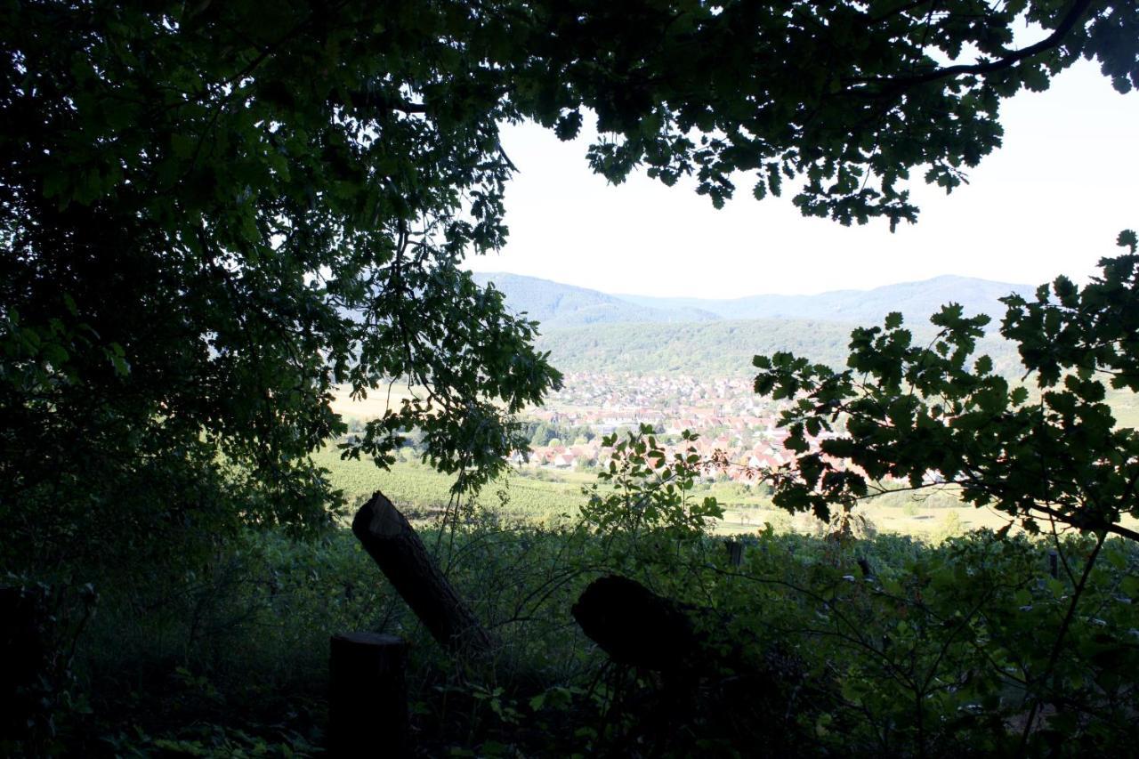 Cocon D'Argile Bed & Breakfast Bischoffsheim Eksteriør bilde